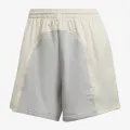 Adidas SHORTS 
