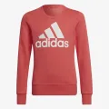 Adidas G BL SWT 