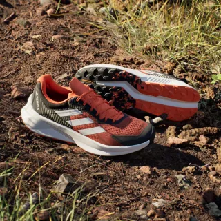 Adidas TERREX SOULSTRIDE FLOW 