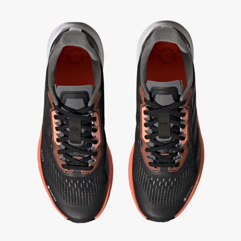 Adidas TERREX AGRAVIC FLOW 2 GTX W 