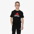 Adidas Big logo 