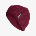 Adidas TERREX 