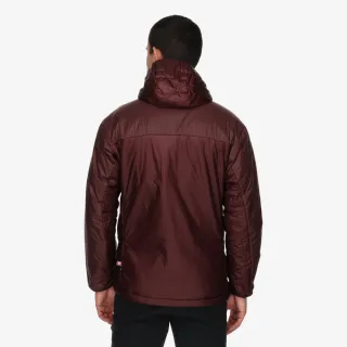 Adidas Terrex Myshelter 