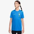 Nike CBF Academy Pro 