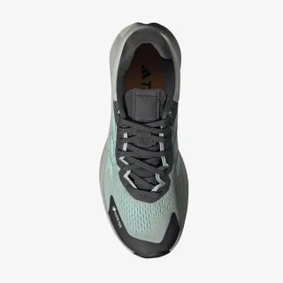 Adidas TERREX SOULSTRIDE FLOW GTX W 