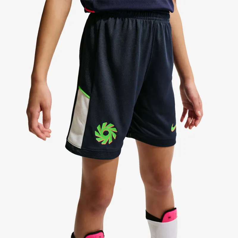 Nike Academy 25 