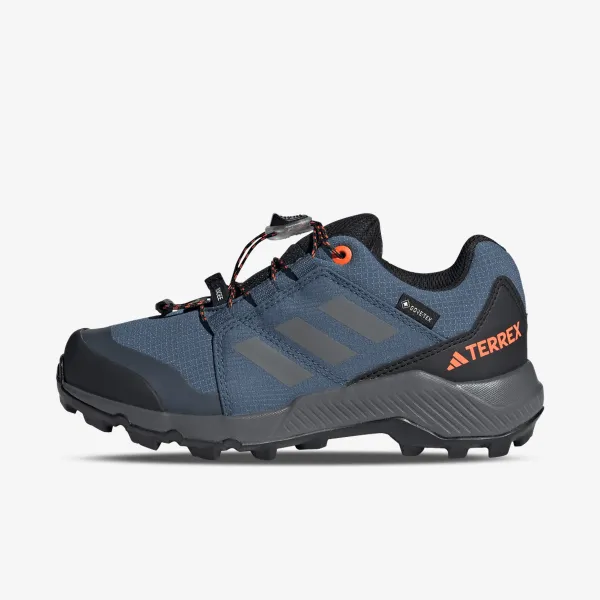 Adidas TERREX GTX 