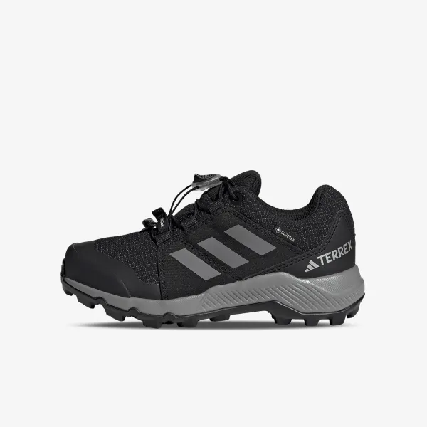 Adidas Terrex Gore-Tex 