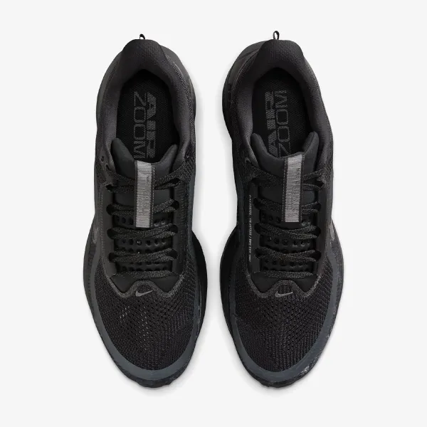 Nike Pegasus Premium 