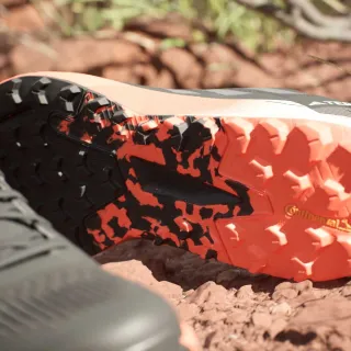 Adidas Terrex Agriavic Flow 2 