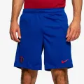 Nike PSG M NK DF STRK SHORT KZ 