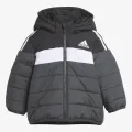 Adidas IN F PAD JKT 