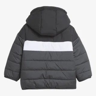 Adidas IN F PAD JKT 