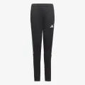 Adidas TIRO23 CBTRPNTY 