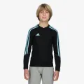 Adidas TIRO23 CBTRTOPY 