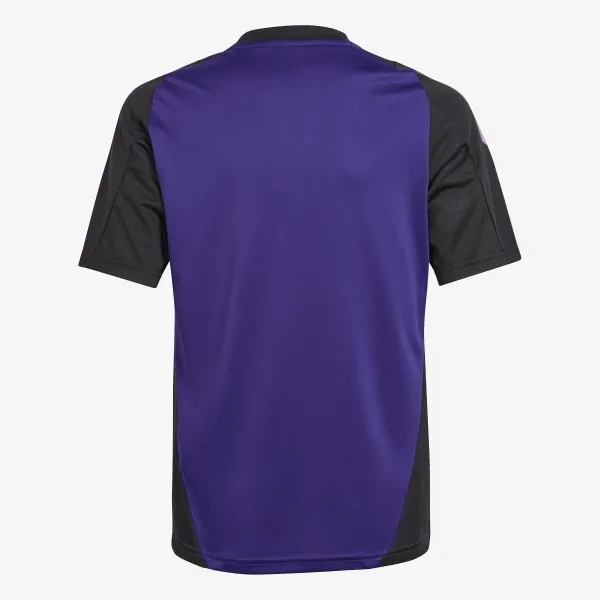 Adidas Germany Tiro 24 