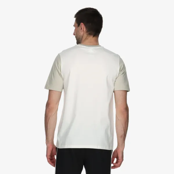 Adidas Big Logo 