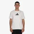 Adidas Cat 