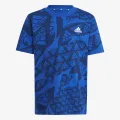 Adidas LK CAMLOG TEE 