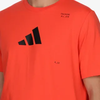 Adidas Cat 