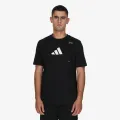 Adidas Cat 