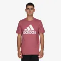 Adidas Big logo 