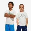 Adidas Adiraptor 
