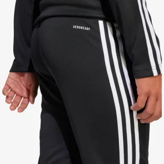 adidas SQ25 TR PNT Y 