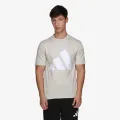 Adidas Big logo 