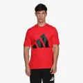 Adidas Big logo 
