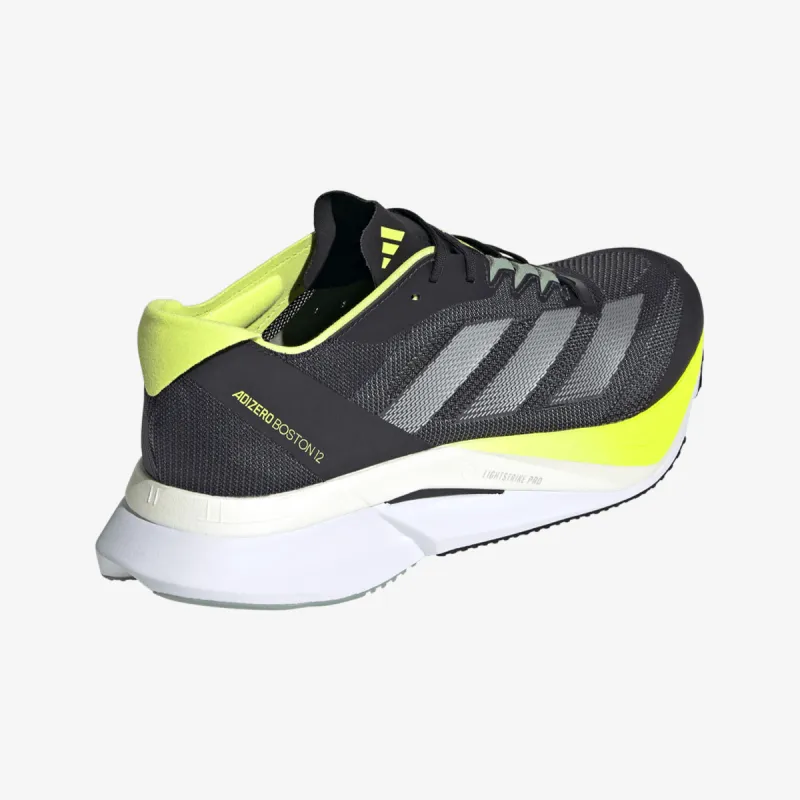 Adidas ADIZERO BOSTON 12 M 