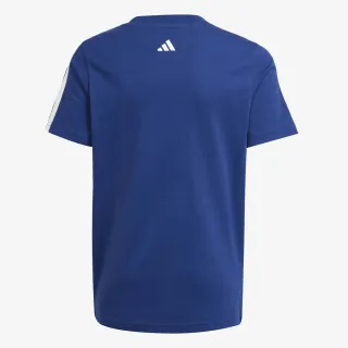 Adidas Codes Collegiate 
