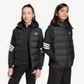 Adidas Synthetic Down 