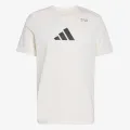 Adidas Graphic 