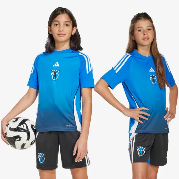 Adidas JB TR JSY Y 