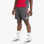 adidas LFC TR SHO 