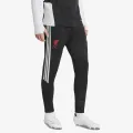 adidas LFC TR PNT 