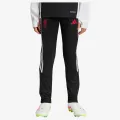 adidas LFC TR PNTY 