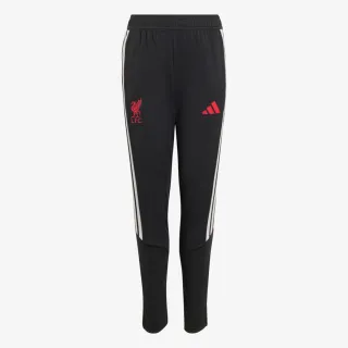 adidas LFC TR PNTY 