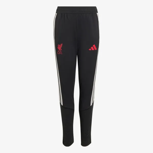 adidas LFC TR PNTY 