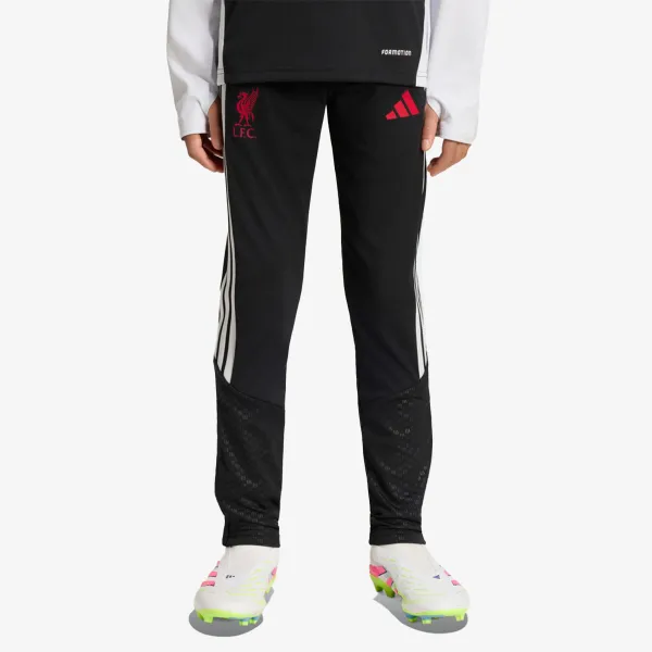 adidas LFC TR PNTY 