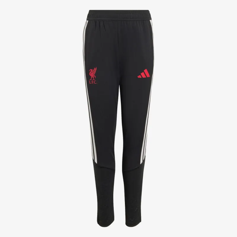 adidas LFC TR PNTY 