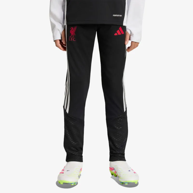 adidas LFC TR PNTY 