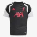 adidas LFC TR JSYY 