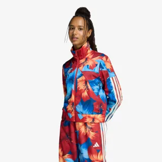 Adidas FARM Rio House of Tiro 