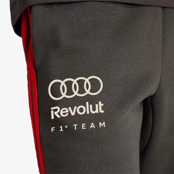 Adidas Audi Formula One Team DNA 