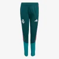 adidas REAL TR PNTY 