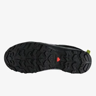Salomon C/O EOS GTX 