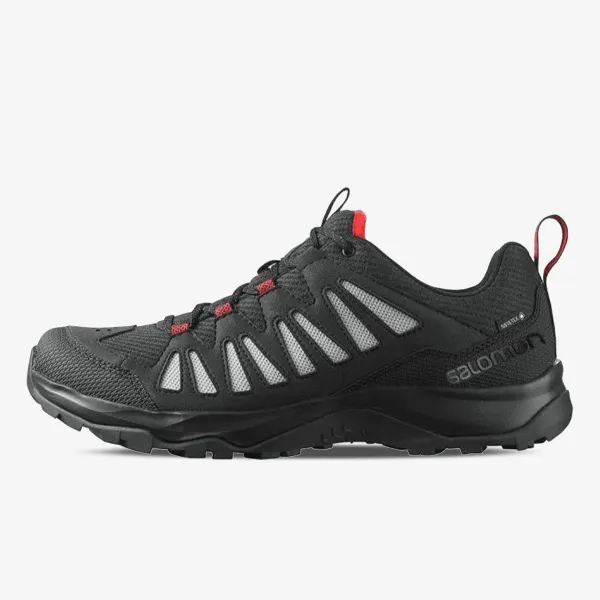 Salomon EOS GTX 