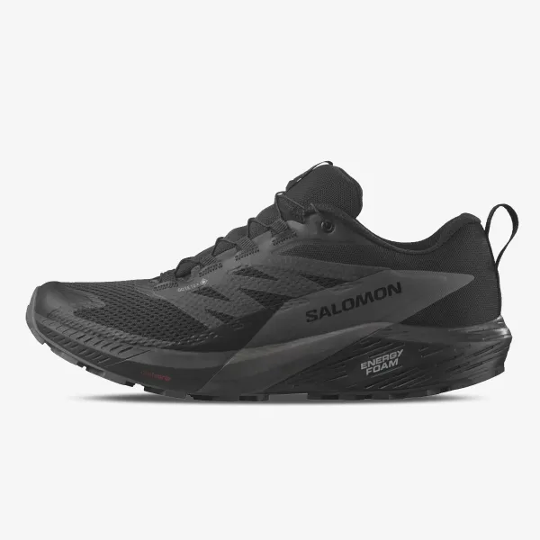 Salomon Sense Ride 5 GTX 